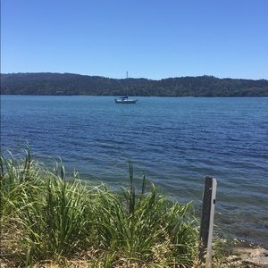 Meet your Posher, Talia